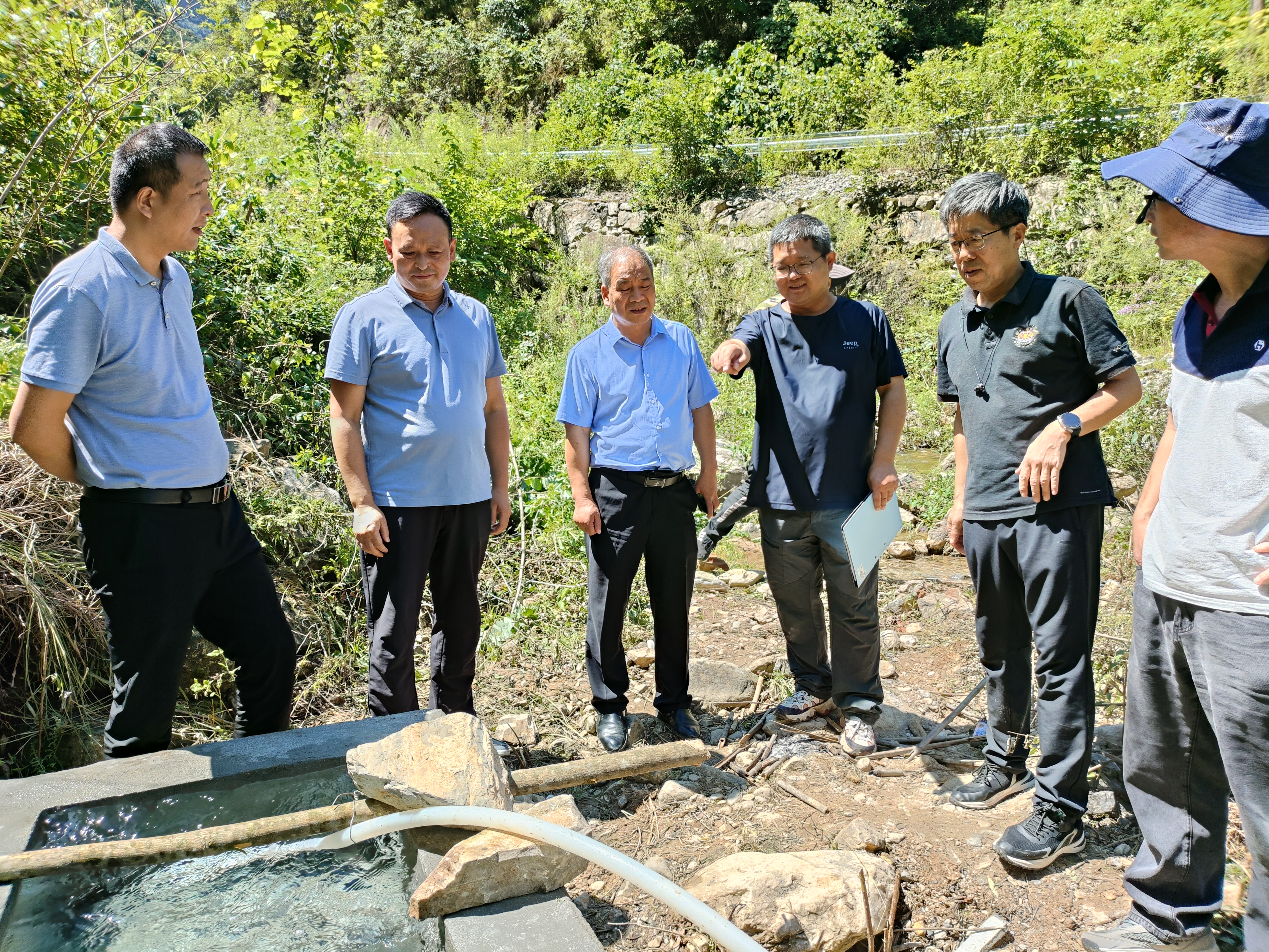 1694153217316197.jpg 1694153217316197.jpg