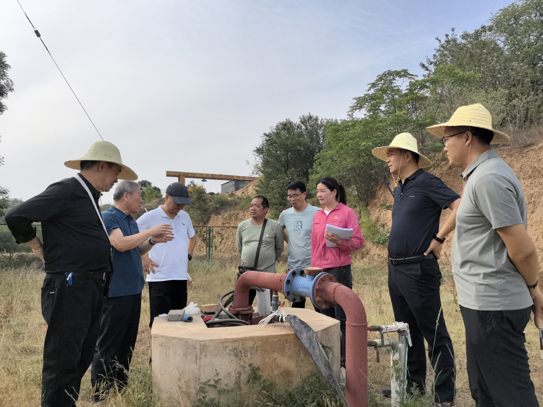 1747990865719878.jpg 1.jpg